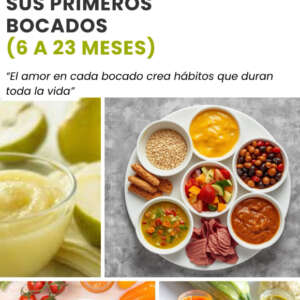 recetario-nutritivo-primeros-bocados